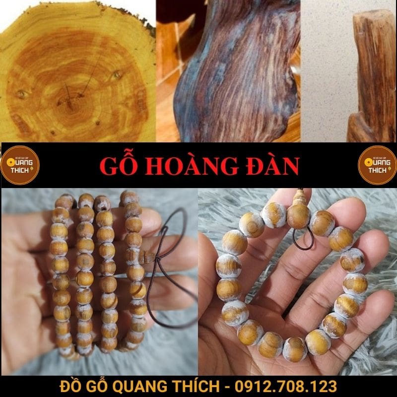 Gỗ Hoàng Đàn Lạng Sơn: Tác dụng, Thật giả, Giá/1kg